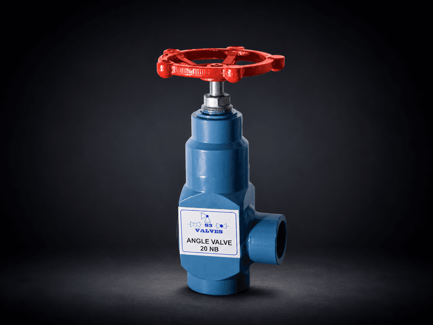 Globe Valve Angle type
