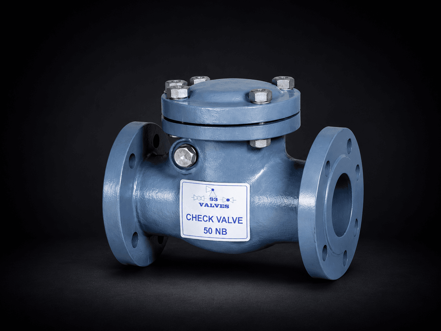 Check Valve