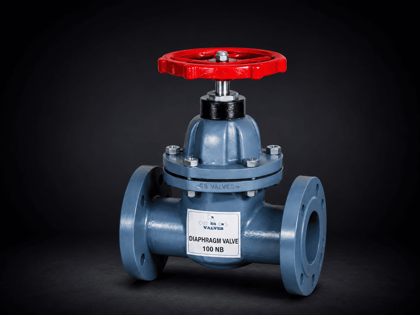 Diaphragm Valve