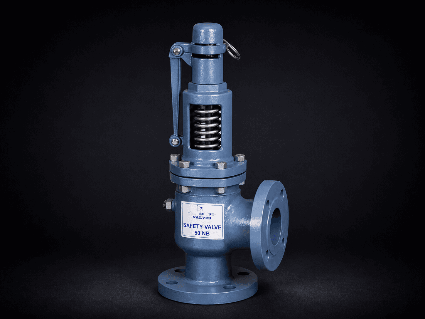 Safety Relief Valve